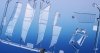 Special Hobby 48239 L-4/NE-1 Grasshopper Pacific Warriors 1/48